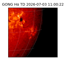 gong - 2026-07-03T11:00:22
