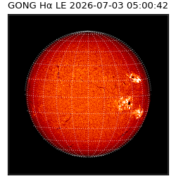 gong - 2026-07-03T05:00:42