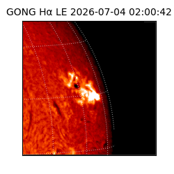 gong - 2026-07-04T02:00:42