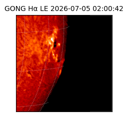 gong - 2026-07-05T02:00:42