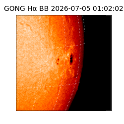 gong - 2026-07-05T01:02:02