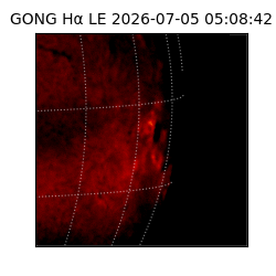 gong - 2026-07-05T05:08:42