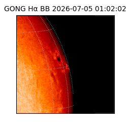 gong - 2026-07-05T01:02:02