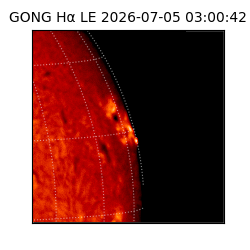 gong - 2026-07-05T03:00:42