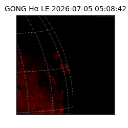 gong - 2026-07-05T05:08:42