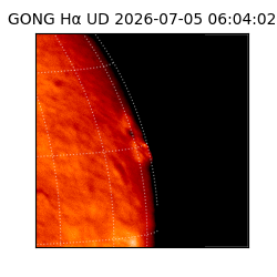 gong - 2026-07-05T06:04:02