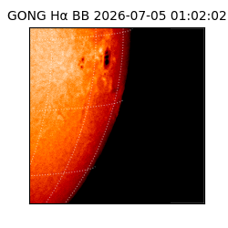 gong - 2026-07-05T01:02:02