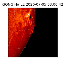 gong - 2026-07-05T03:00:42