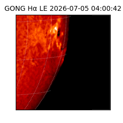 gong - 2026-07-05T04:00:42