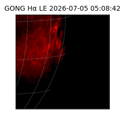 gong - 2026-07-05T05:08:42