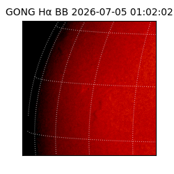 gong - 2026-07-05T01:02:02