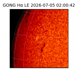gong - 2026-07-05T02:00:42