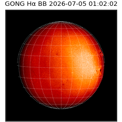 gong - 2026-07-05T01:02:02