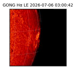 gong - 2026-07-06T03:00:42