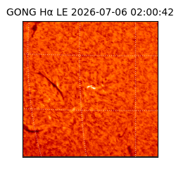 gong - 2026-07-06T02:00:42