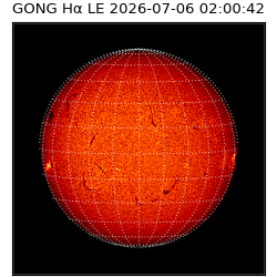 gong - 2026-07-06T02:00:42