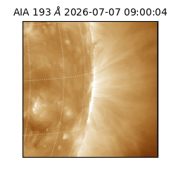saia - 2026-07-07T09:00:04.842000