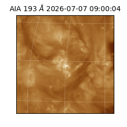 saia - 2026-07-07T09:00:04.842000