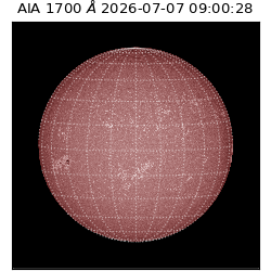 saia - 2026-07-07T09:00:28.716000