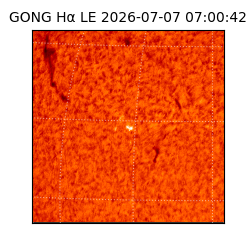 gong - 2026-07-07T07:00:42
