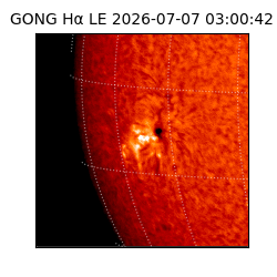 gong - 2026-07-07T03:00:42
