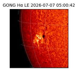 gong - 2026-07-07T05:00:42