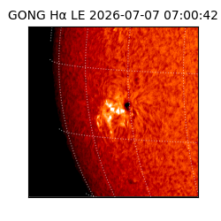 gong - 2026-07-07T07:00:42
