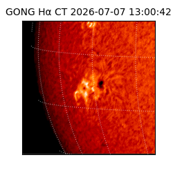 gong - 2026-07-07T13:00:42