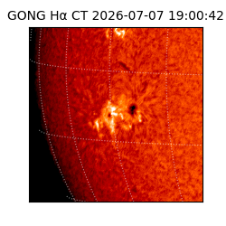 gong - 2026-07-07T19:00:42