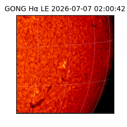 gong - 2026-07-07T02:00:42