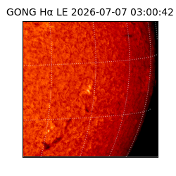 gong - 2026-07-07T03:00:42
