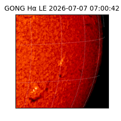 gong - 2026-07-07T07:00:42