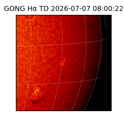 gong - 2026-07-07T08:00:22
