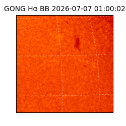 gong - 2026-07-07T01:00:02