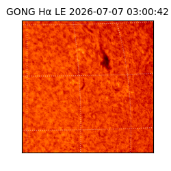 gong - 2026-07-07T03:00:42