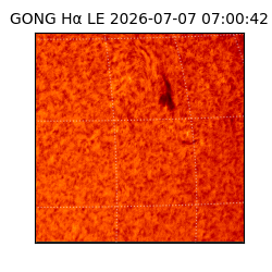 gong - 2026-07-07T07:00:42
