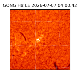 gong - 2026-07-07T04:00:42