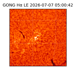 gong - 2026-07-07T05:00:42
