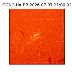 gong - 2026-07-07T21:00:02