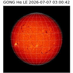 gong - 2026-07-07T03:00:42