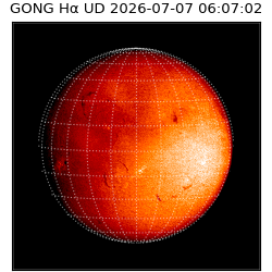 gong - 2026-07-07T06:07:02