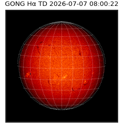 gong - 2026-07-07T08:00:22
