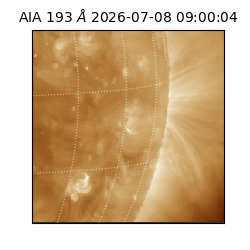 saia - 2026-07-08T09:00:04.842000
