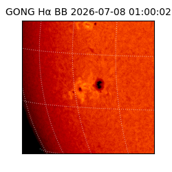 gong - 2026-07-08T01:00:02