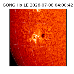 gong - 2026-07-08T04:00:42
