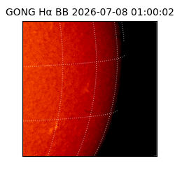 gong - 2026-07-08T01:00:02