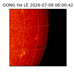 gong - 2026-07-08T06:00:42