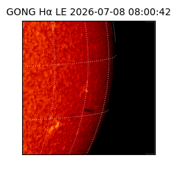 gong - 2026-07-08T08:00:42