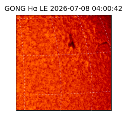 gong - 2026-07-08T04:00:42