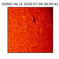 gong - 2026-07-08T08:00:42